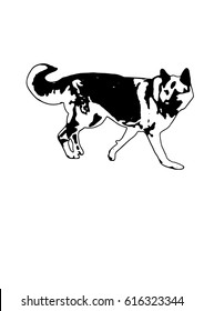 sheep dog vector