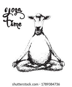 Sheep doing yoga in various poses illustration in the style of engraving vector
