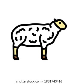 sheep domestic animal color icon vector. sheep domestic animal sign. isolated symbol illustration
