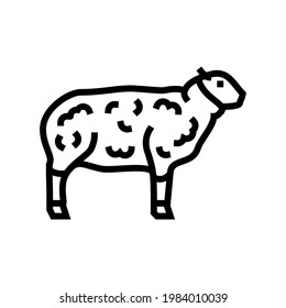 sheep domestic animal line icon vector. sheep domestic animal sign. isolated contour symbol black illustration