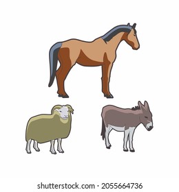 Sheep, donkey and horse. White background. Vector. 