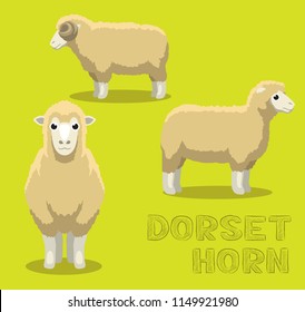 Sheep Dorset Horn Cartoon Vector Illustration