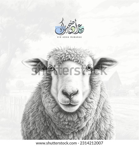 Sheep drawing design with Arabic translation: Eid Adha Mubarak  商業照片 © 