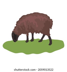 sheep eating grass  illustration vector isolated