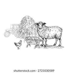 Una oveja comiendo heno delante de un pajar y un tractor. Ilustración vectorial en blanco y negro dibujado a mano. Patio agrícola. Perfecto para granjas o agricultura. Para embalajes y Anuncios.
