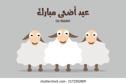 Schaf- und Eid-Adha-Mubarak-Wort auf Arabisch und Englisch