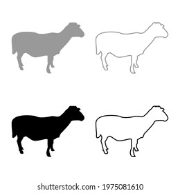 Sheep Ewe Domestic livestock Farm animal cloven hoofed Lamb cattle silhouette grey black color vector illustration solid outline style image