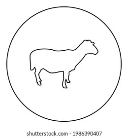 Sheep Ewe Domestic livestock Farm animal cloven hoofed Lamb cattle silhouette in circle round black color vector illustration contour outline style image 