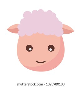 sheep face animal