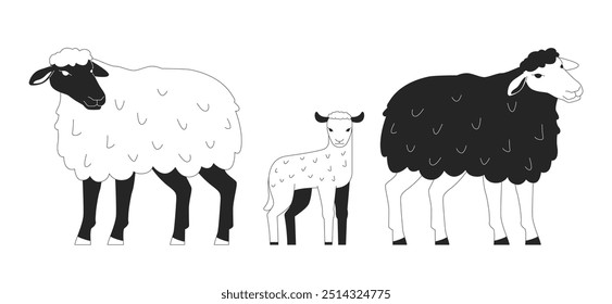 Família de ovelhas com bonitinho cordeiro preto e branco caracteres de linha 2D. Setor da criação de animais de criação. Pequenos rebanhos de gado isolados animais contornos vetores. Ilustração de ponto monocromático