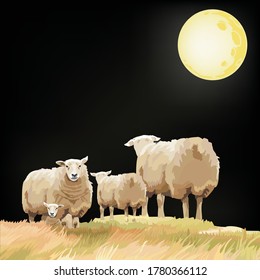 A sheep family on a grass hill under a full moon night 
