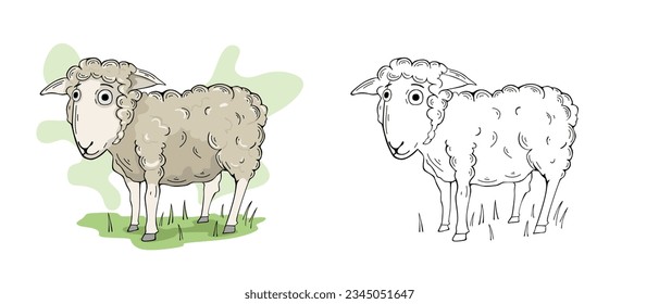 Sheep farm animal cartoon illustration