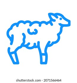 sheep farm animal color icon vector. sheep farm animal sign. isolated symbol illustration