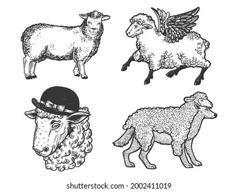 Sheep farm animal set line art sketch engraving vector illustration. T-shirt apparel print design. Scratch board imitation. Black and white hand drawn image.
