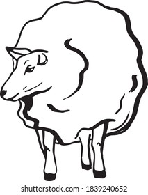 Sheep farm animal sketch isolated sheep mammal on vector image
