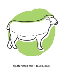 Sheep Farm Animal Traditional Doodle. Icons Sketch Hand Made. Design Vector Line Art.