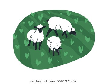 Sheep, farm animals grazing in green field. Woolly livestock, rural country fauna, ewes herd in summer countryside, eating grass. Flat graphic vector illustration isolated on white background