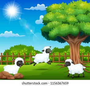 The sheep farm are enjoying nature by the cage