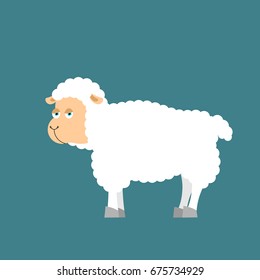 Sheep farm isolated animal. ewe on white background
