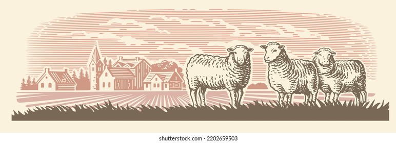 Sheep farm. Village meadow hand drawn sketch