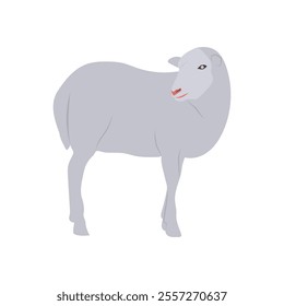 Sheep, Farming Flat Vector Illustration