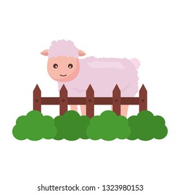 sheep fence farm