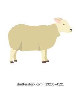 sheep flat icon.You can be used sheep icon for several purposes like: websites, UI, UX, print templates, presentation templates, promotional materials, web and mobile phone apps