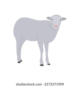 Sheep Flat Icon, Vector illustration