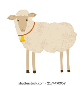 Sheep in flat style vector illustration