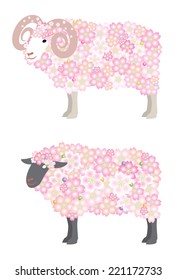 Sheep / Flower