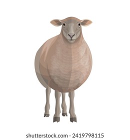 Sheep front view. Farm animal. Vector illustration isolated on a white background in a realistic style