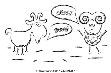 Sheep and goat