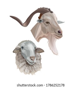 Sheep and goat heads portraits. Vector illustration isolated on white background