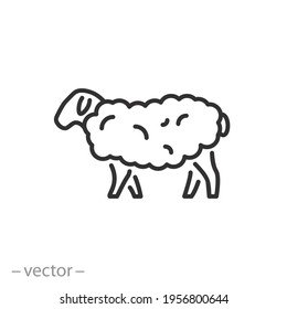 sheep or goat icon, fluffy lamb, woolly livestock, ewe pasture, thin line symbol on white background - editable stroke vector eps10