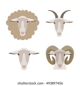 Sheep, goat, ram face cartoon flat vector set.goat head. Livestock animals. poster, banner, print, advertisement, web design element. Livestock, cattle animals