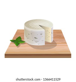 Sheep (goat) soft cheese round shape on a wooden board. Vector illustration isolated on white background