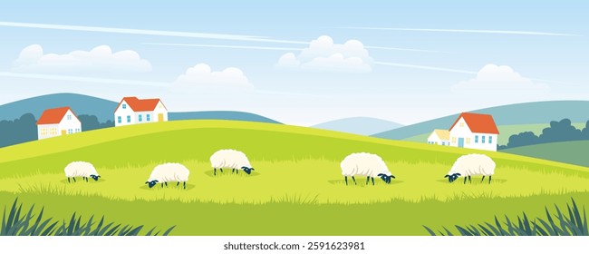 Sheep graze in a beautiful field with farmhouses and green hills in the background. Landscape of green meadows with sheep. Farm vector illustration.