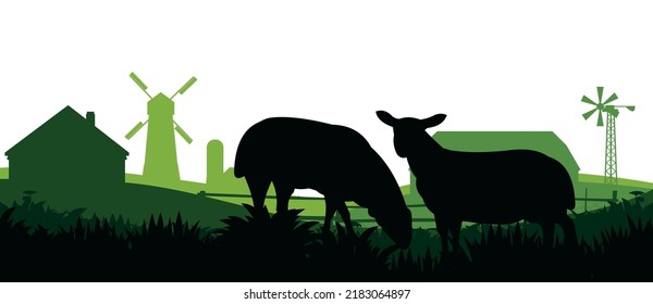 Sheep graze in pasture. Picture silhouette. Farm pets. Rural landscape with farmer house. Domestic animals wool. Isolated on white background. Vector.