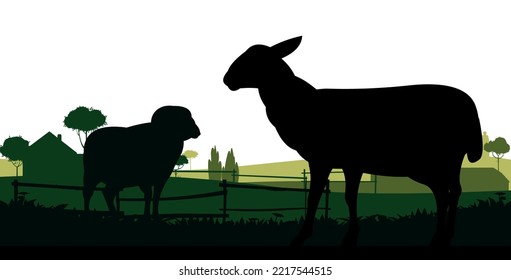 Sheep graze in pasture. Picture silhouette. Farm pets. Rural landscape with farmer house. Domestic animals wool. Isolated on white background. Vector.