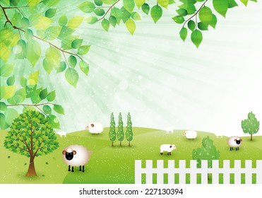 Sheep greeting cards background