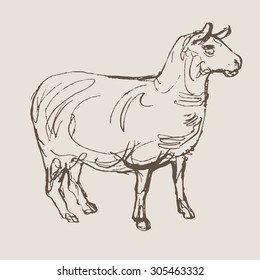 sheep hand draw sketch, vector