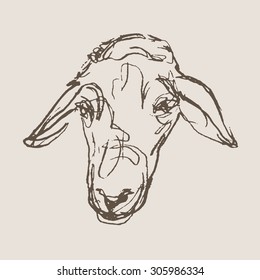 sheep hand draw sketch, vector
