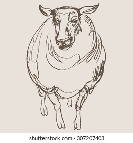sheep hand draw sketch, vector