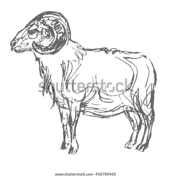 Sheep Hand Draw Sketch Vector Stock Vector (Royalty Free) 458784460
