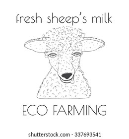 Sheep hand drawn portrait, milk or cheese package, sheep's milk