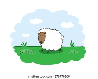 Sheep, a hand drawn vector illustration of a sheep in a grass field.