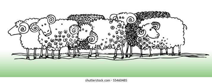 Sheep, hand-drawn illustration, vector