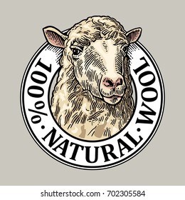 Sheep head. 100 Natural wool lettering. Hand drawn in a graphic style. Vintage vector engraving illustration for label, poster, logotype. Isolated on white background