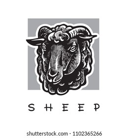 Sheep head - black and white realistic portrait in front view. Cute farm animal illustration in engraving style, graphic design element for logo or template.