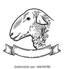 Sheep head, Fresh beef organic meat. Hand drawn sketch in a graphic style. Vintage engraving illustration with ribbon for poster, web. Isolated on white background